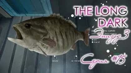 The Long Dark. Эпизод 3. Серия #15 ➤ Место для пикника, волшебный пруд и гигантская рыба.